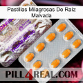 Pastillas Milagrosas De Raíz Malvada new12